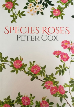 Species Roses Peter Cox
