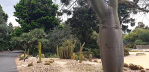 Geelong Botanical Garden, Geelong, Vic.