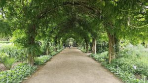 Alowyn Gardens, Yarra Glen, Vic.