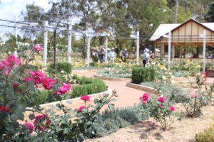 Queensland State Rose Garden